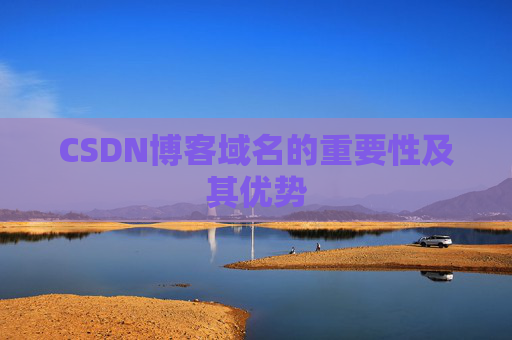 CSDN博客域名的重要性及其优势